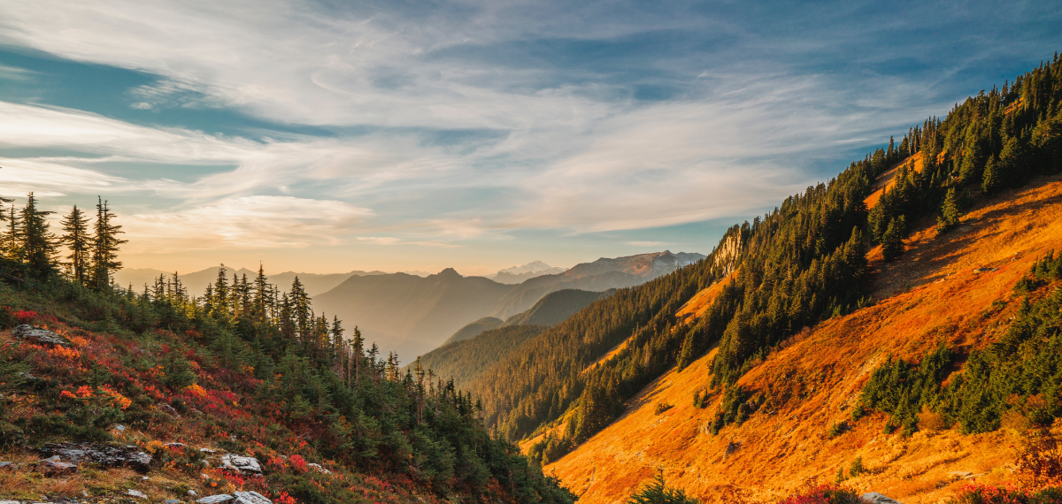 <a href="../community">On-line Community</a>